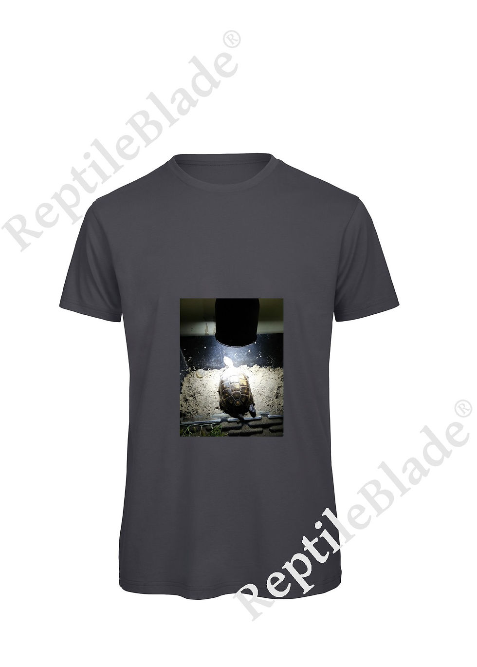 الصورة المصغرة: T-shirt homme "Lilo tortues"