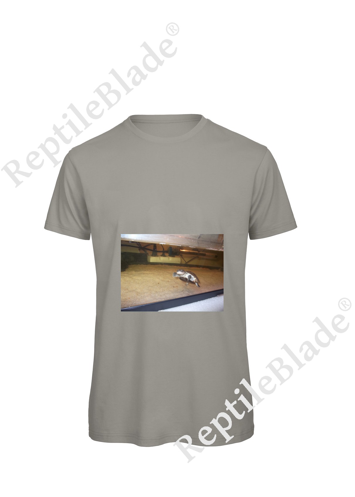 Miniature T-shirt homme "Lilo tortues"