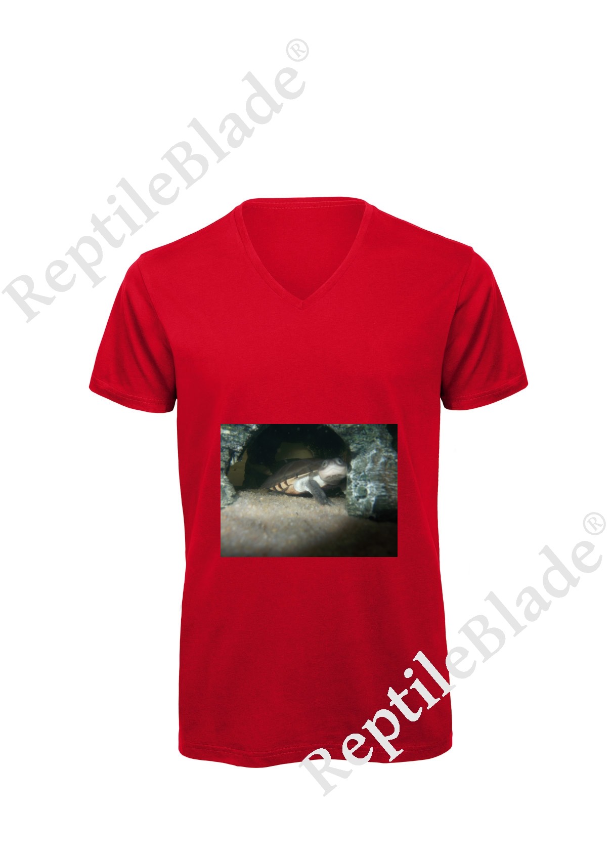 Miniature T-shirt homme col v "Lilo tortues"