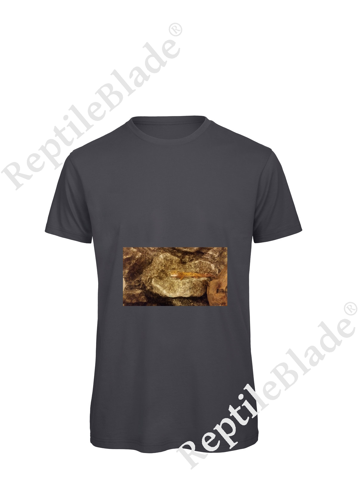 Miniature T-shirt homme "Lilo tortues"