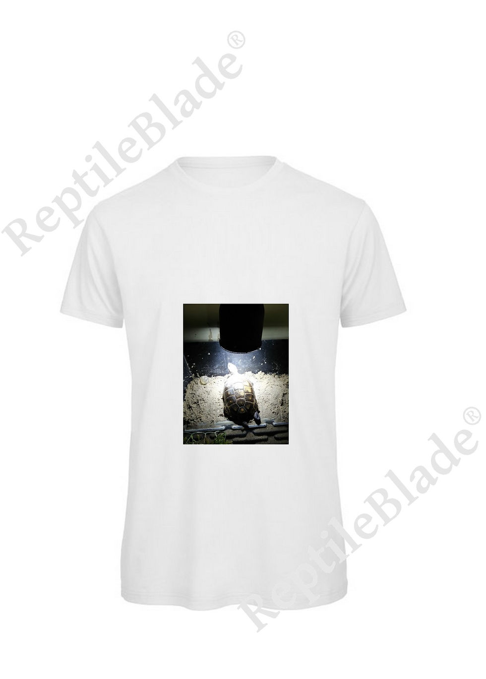 الصورة المصغرة: T-shirt homme "Lilo tortues"