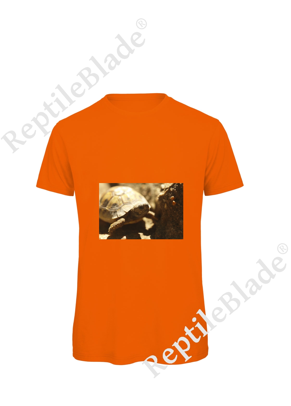 Miniature T-shirt homme "Lilo Tortues"