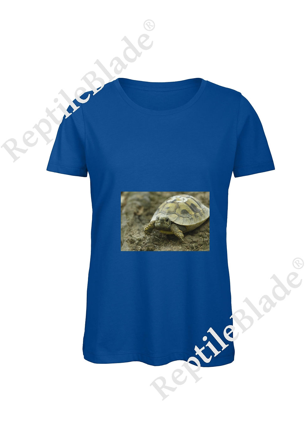 Thumbnail: T-shirt femme "Lilo tortues"