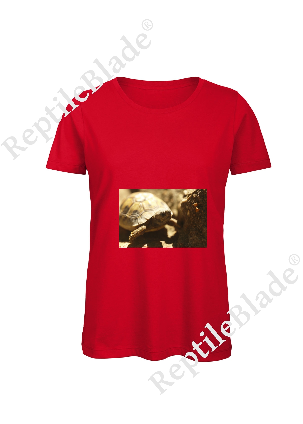 Miniature T-shirt femme "Lilo tortues"