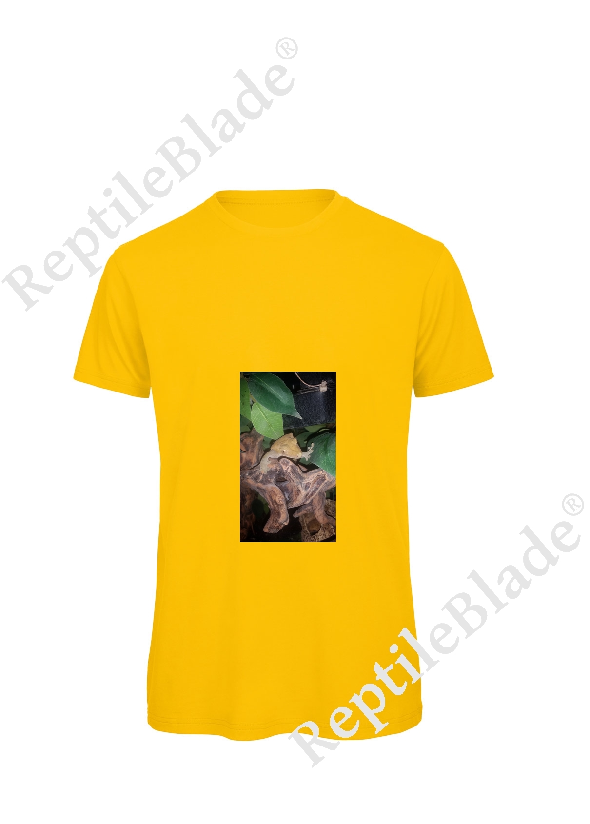 Miniature T-shirt homme "Lilo tortues"