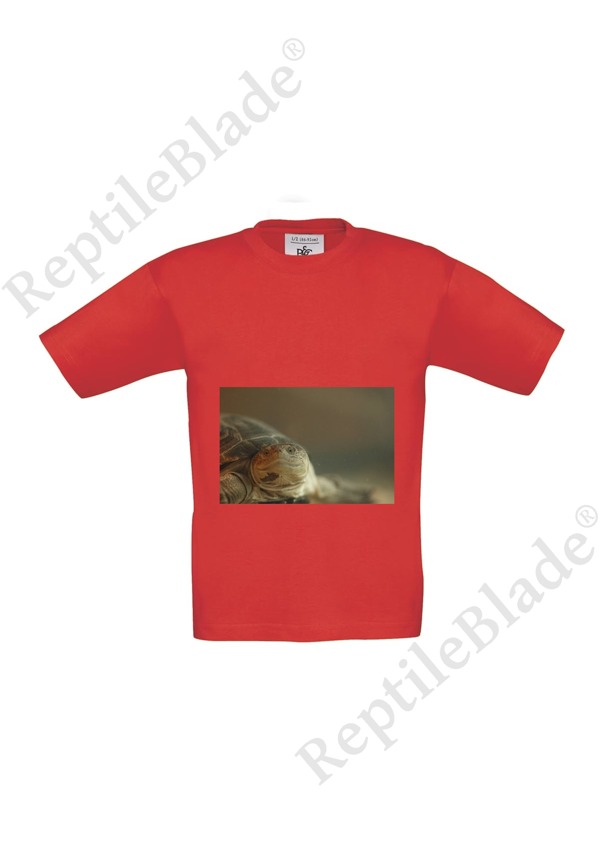 Miniature T-shirt enfant "Lilo tortues"