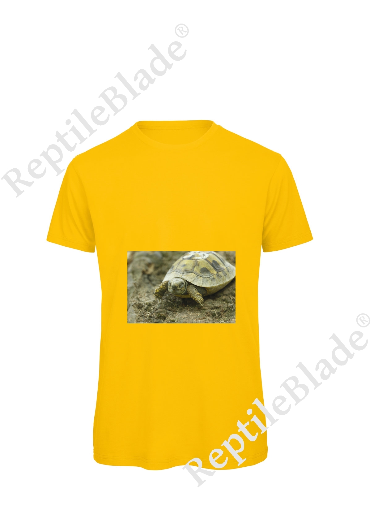Miniature T-shirt homme "Lilo Tortues"
