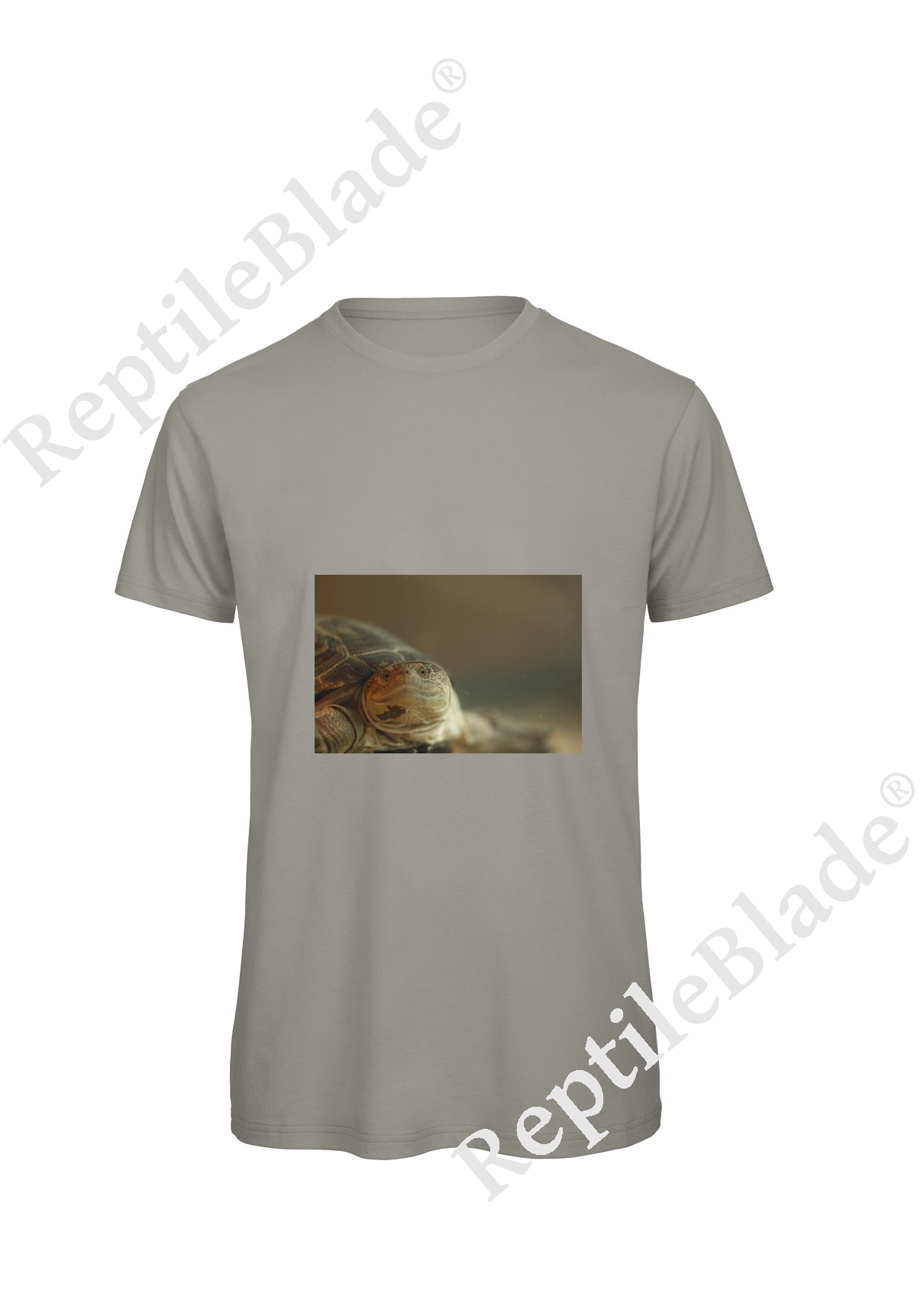 Miniature T-shirt homme "Lilo Tortues"
