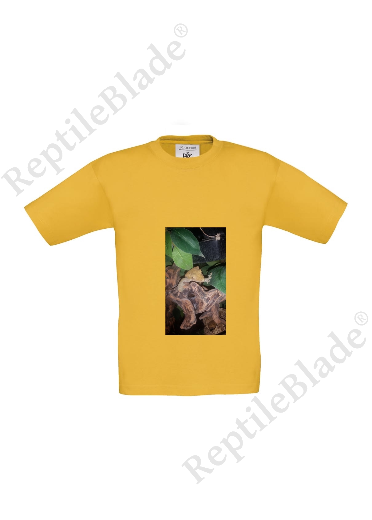 Miniature T-shirt enfant "Lilo tortues"
