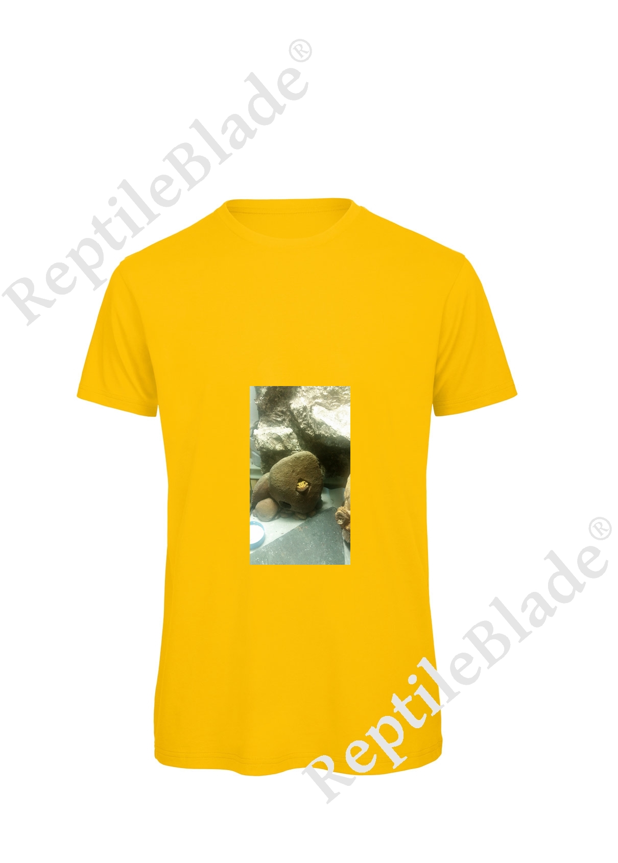 Miniature T-shirt homme "Lilo tortues"