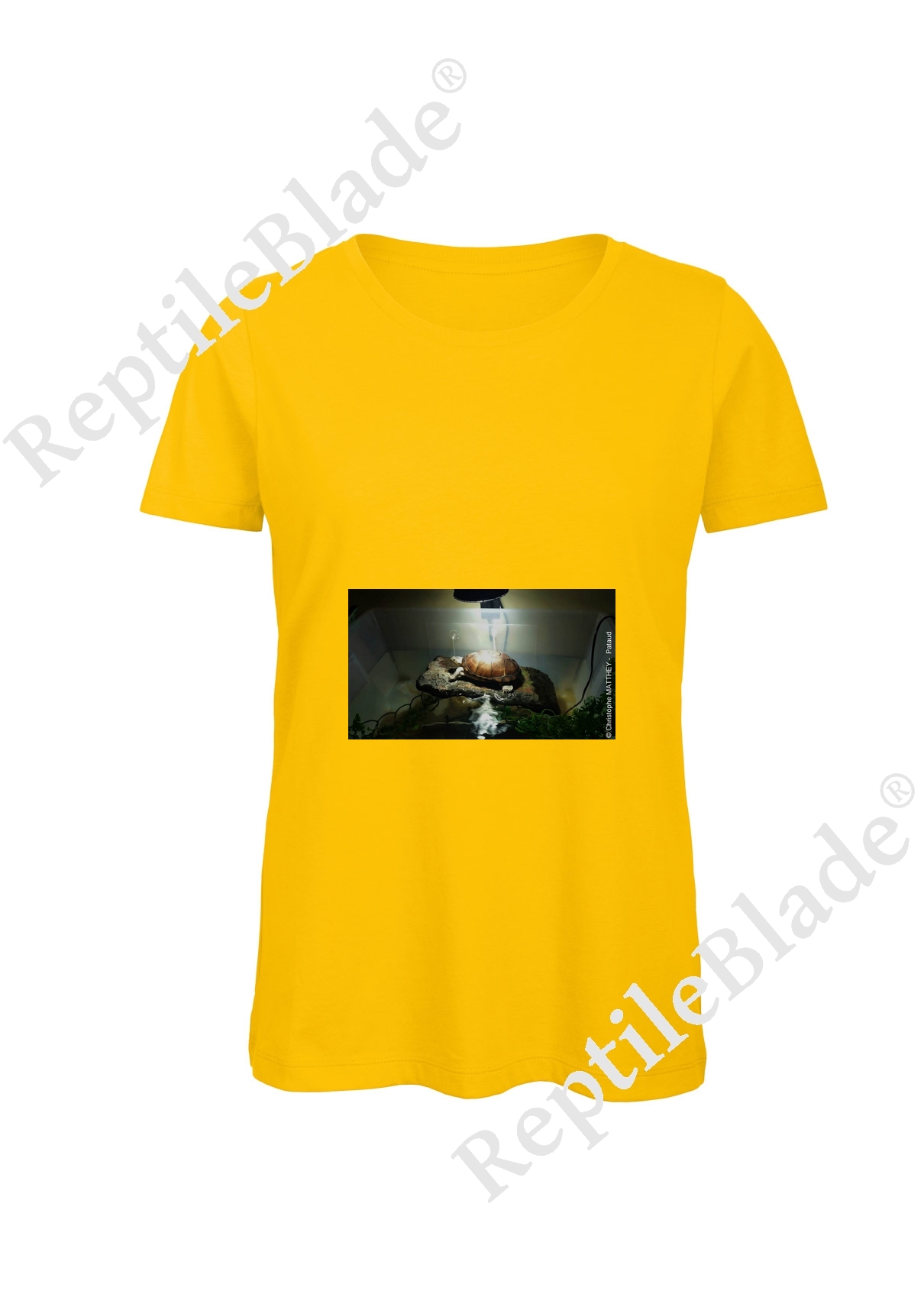 Miniature T-shirt femme "Lilo tortues"