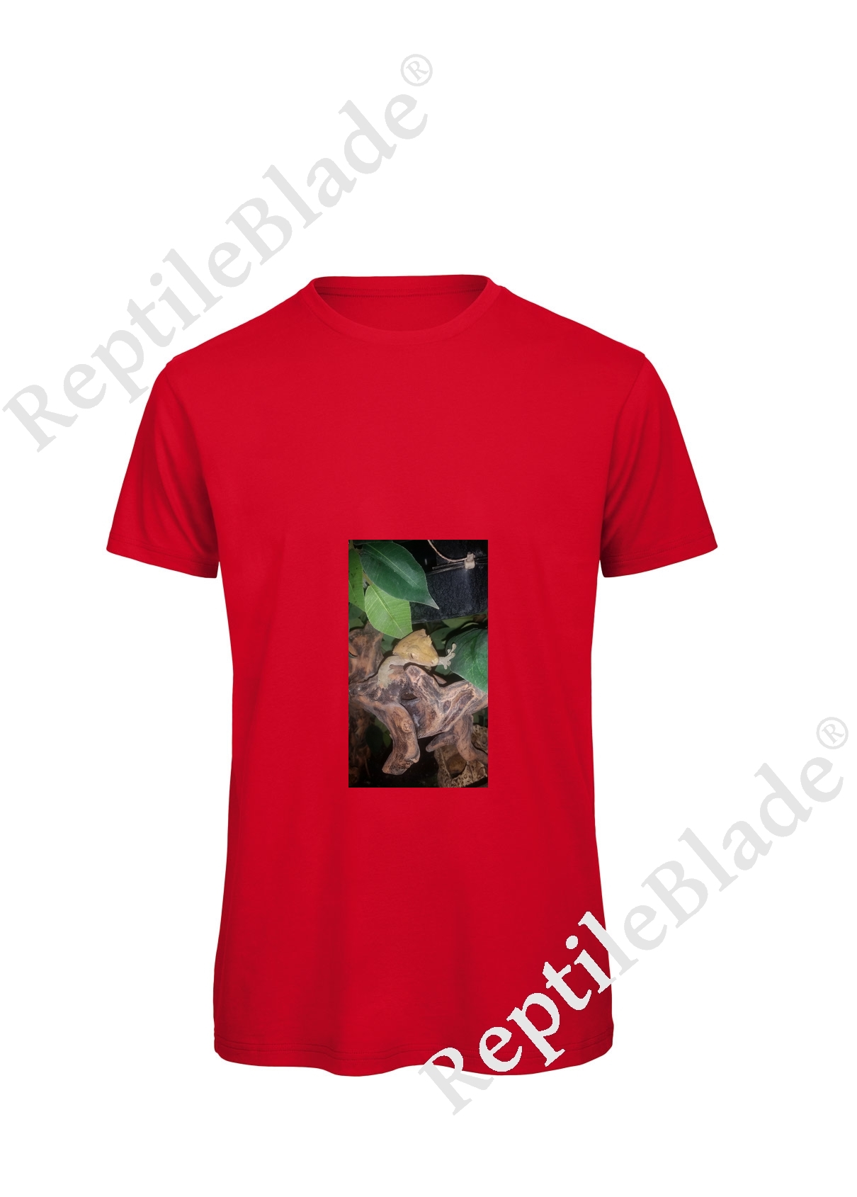 Miniature T-shirt homme "Lilo tortues"