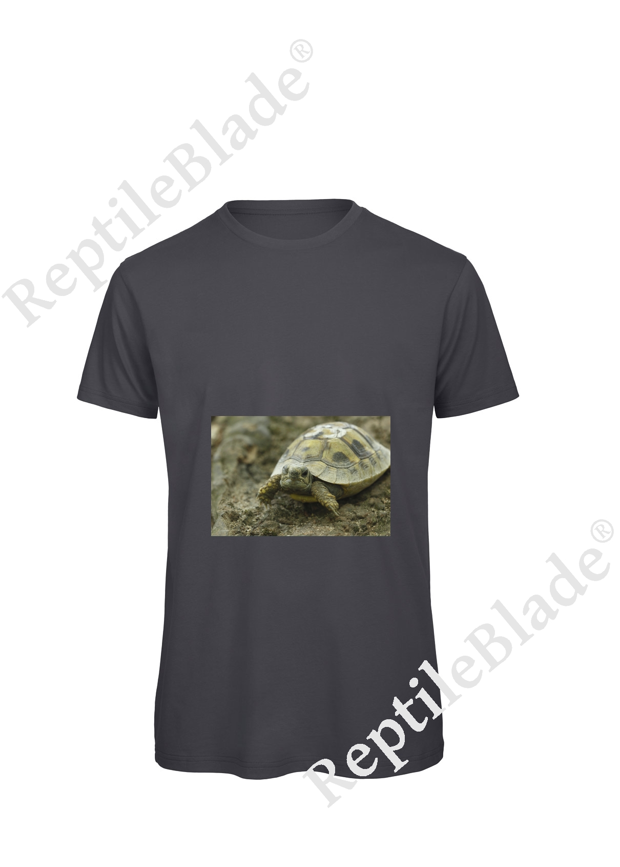Miniature T-shirt homme "Lilo tortues"