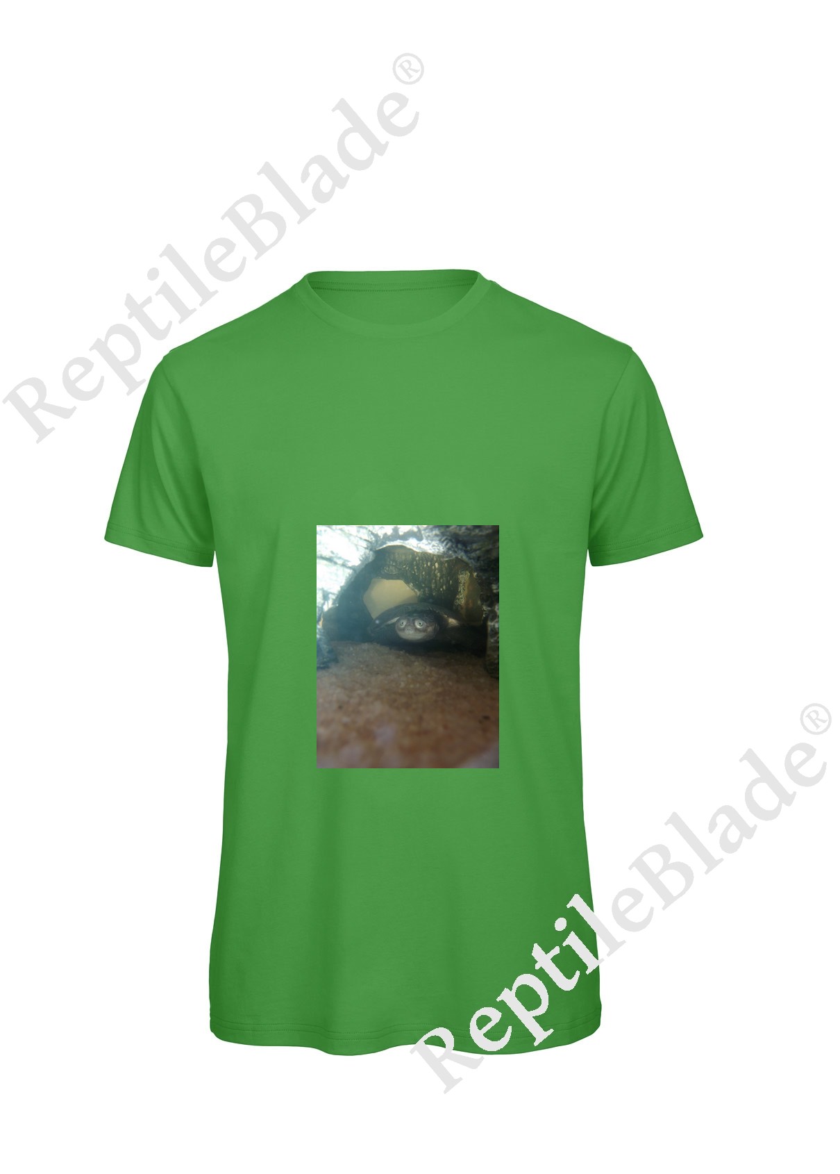 T-shirt homme "Lilo tortues"