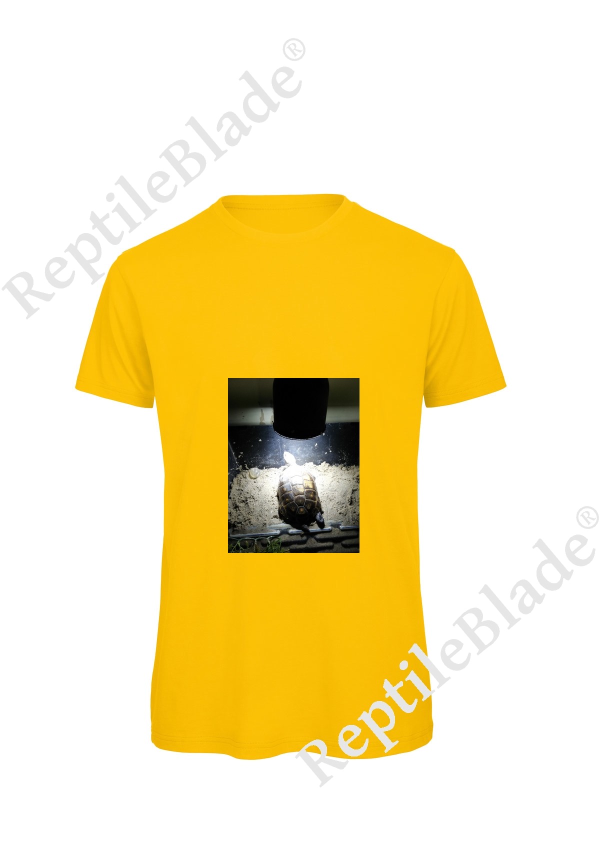 Miniature T-shirt homme "Lilo tortues"