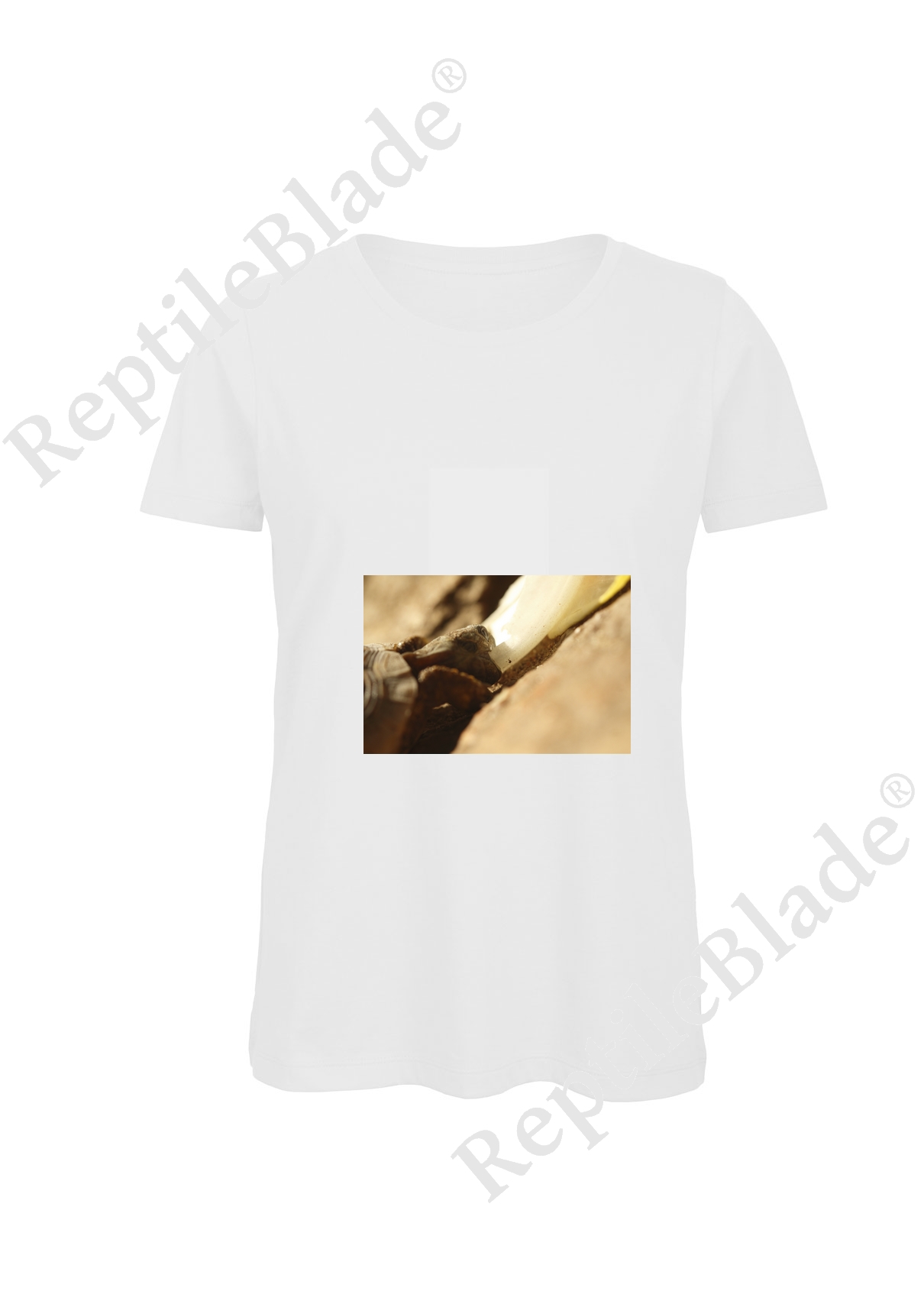 Miniature T-shirt femme "Lilo tortues"