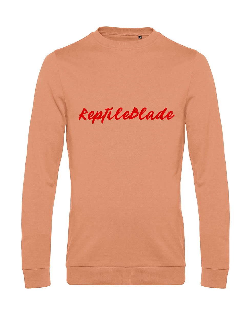Thumbnail: Sweat-shirt homme "ReptileBlade"