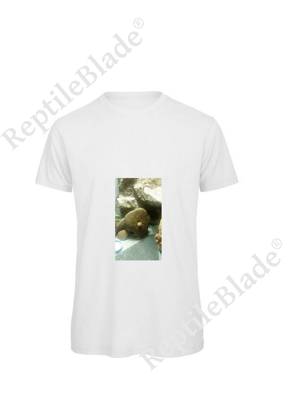Thumbnail: T-shirt homme "Lilo tortues"