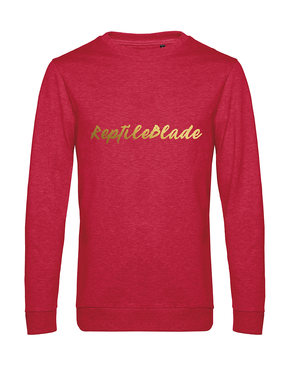 Miniature : Sweat-shirt homme "ReptileBlade"