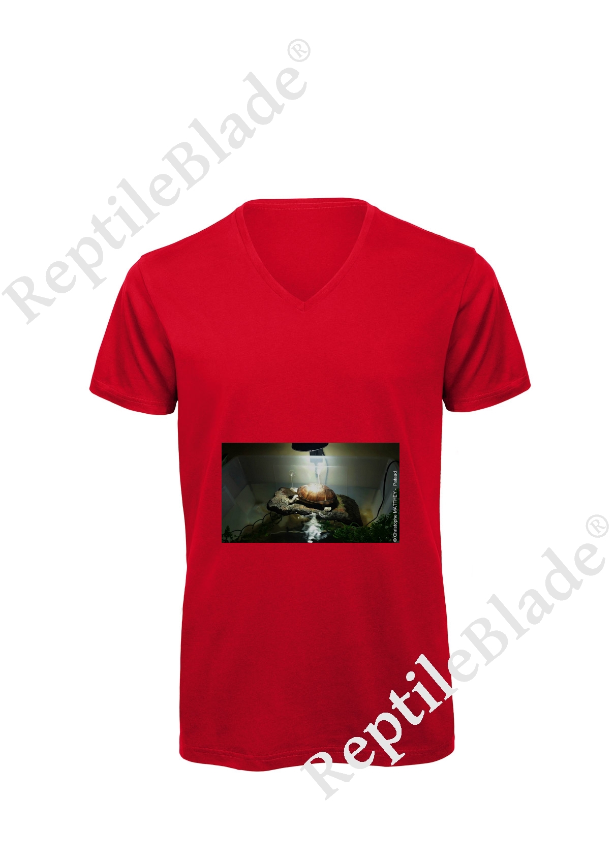 Miniature T-shirt homme col v "Lilo tortues"