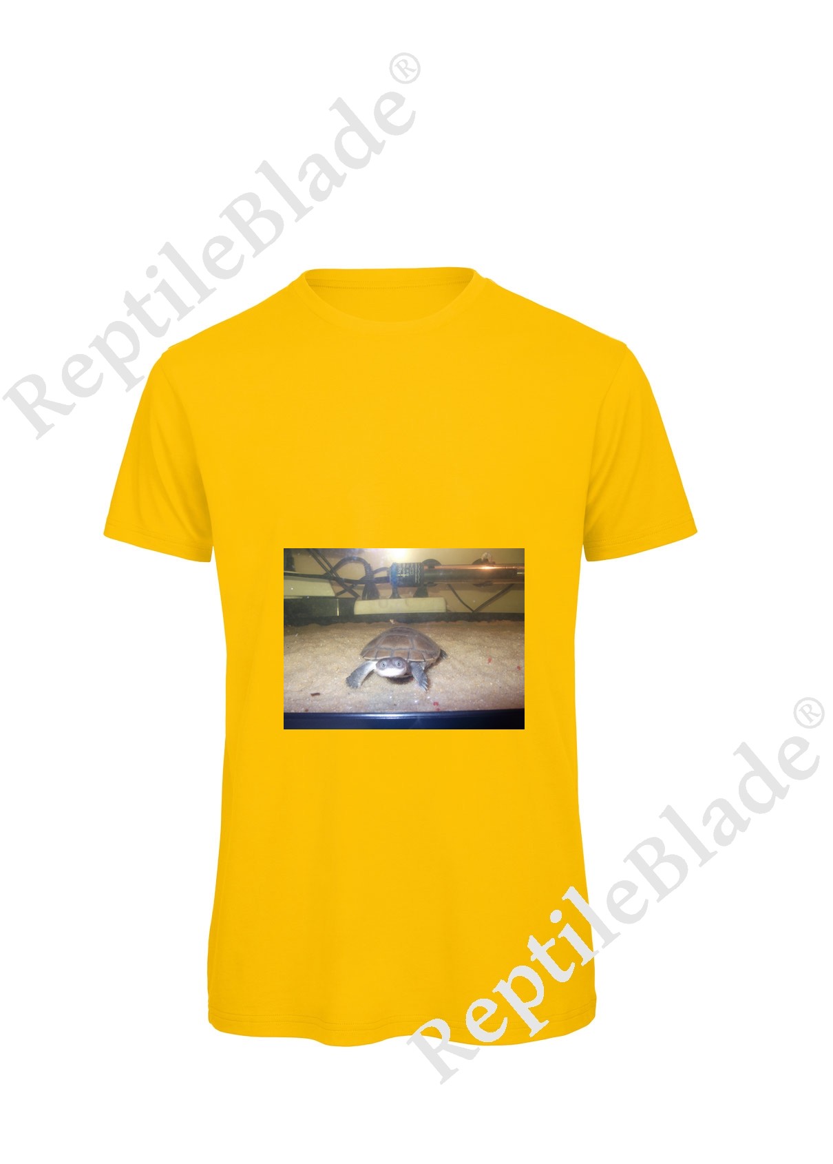 Miniature T-shirt homme "Lilo tortues"