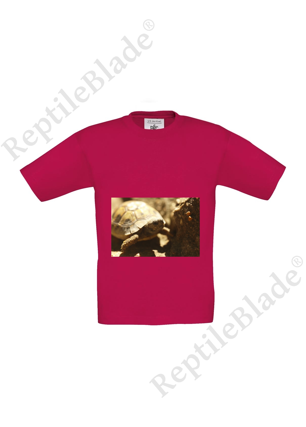 Miniature T-shirt enfant "Lilo tortues"