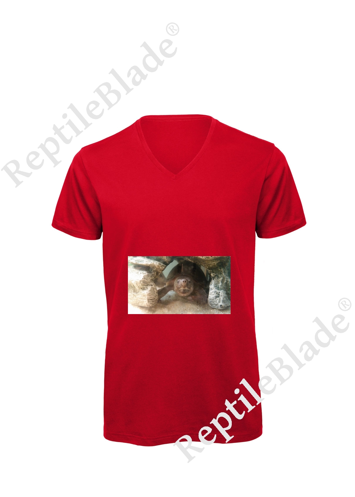 Miniature T-shirt homme col v "Lilo tortues"