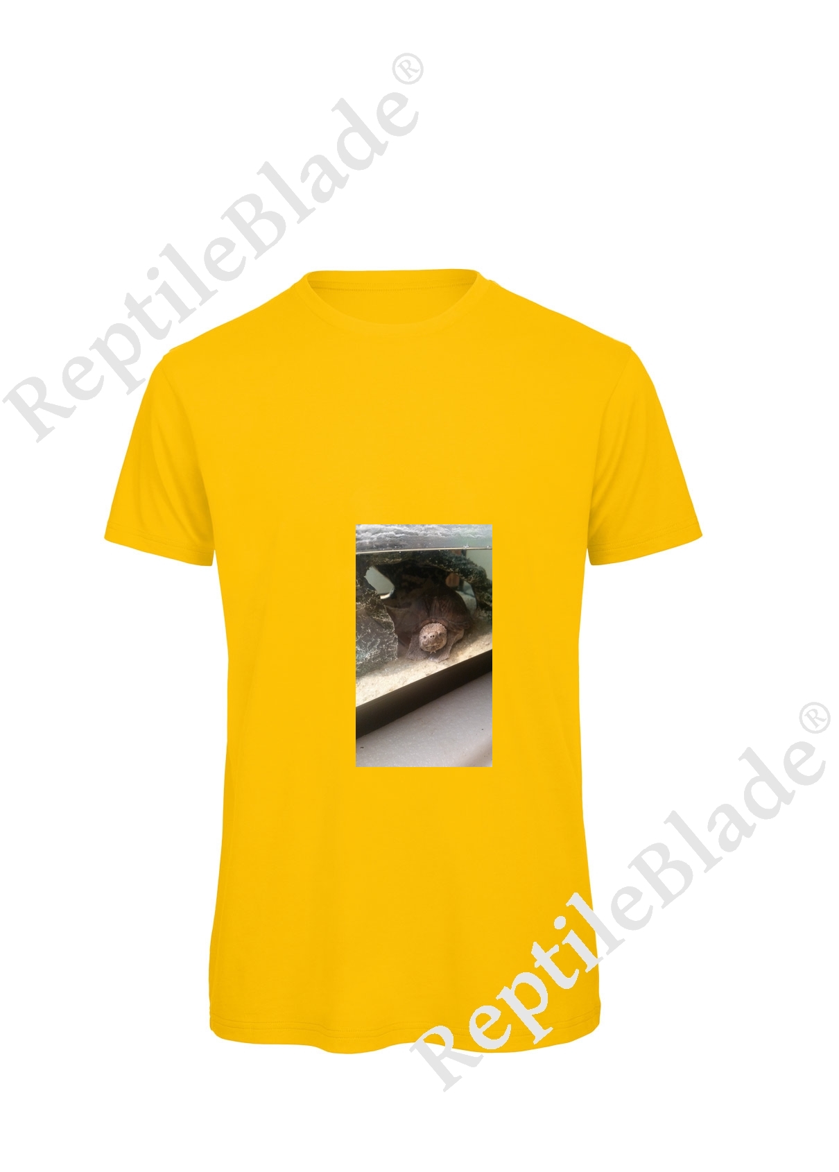 Miniature T-shirt homme "Lilo tortues"