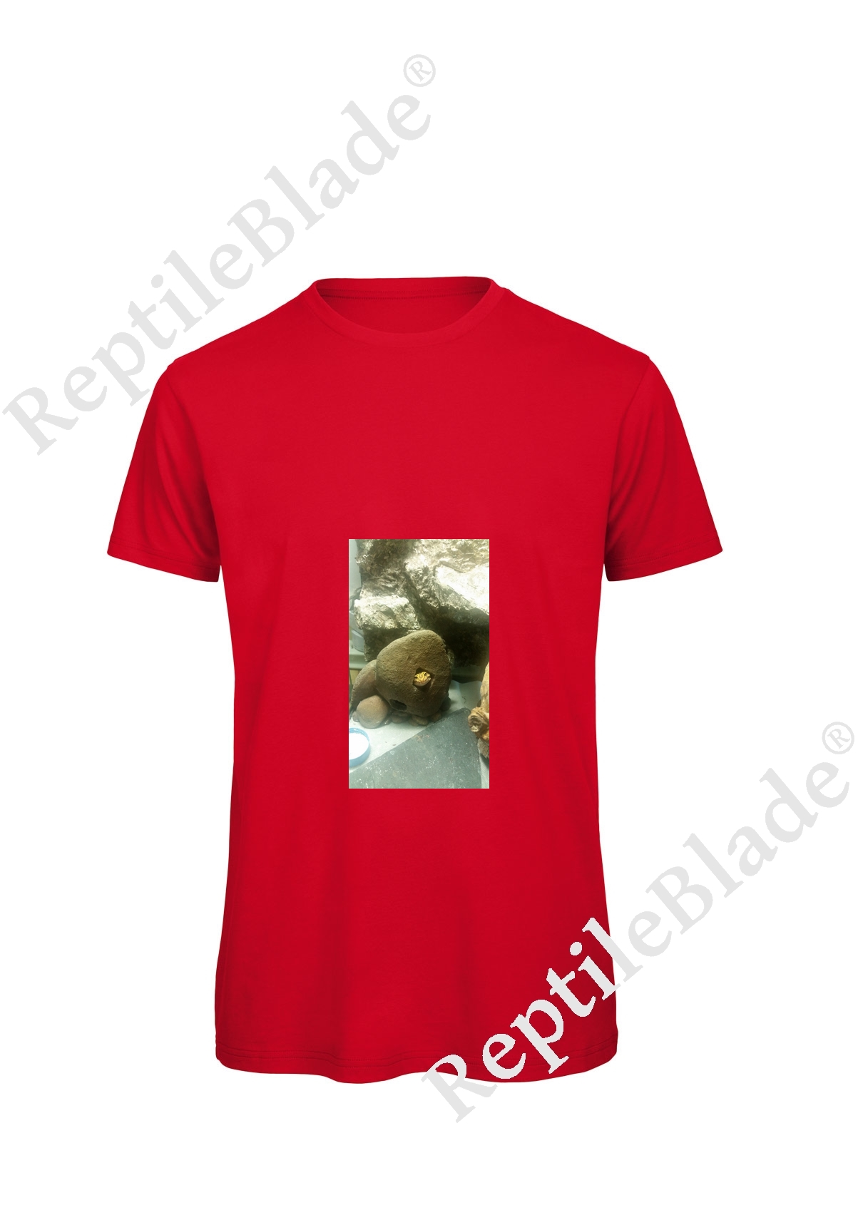 Miniature T-shirt homme "Lilo tortues"