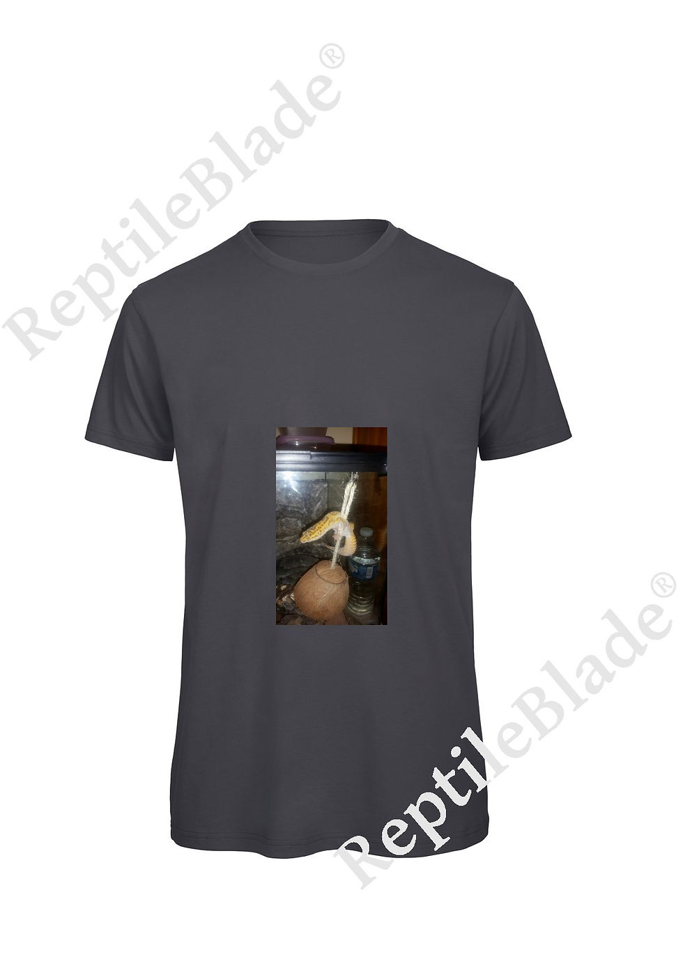 Miniature : T-shirt homme "Lilo tortues"