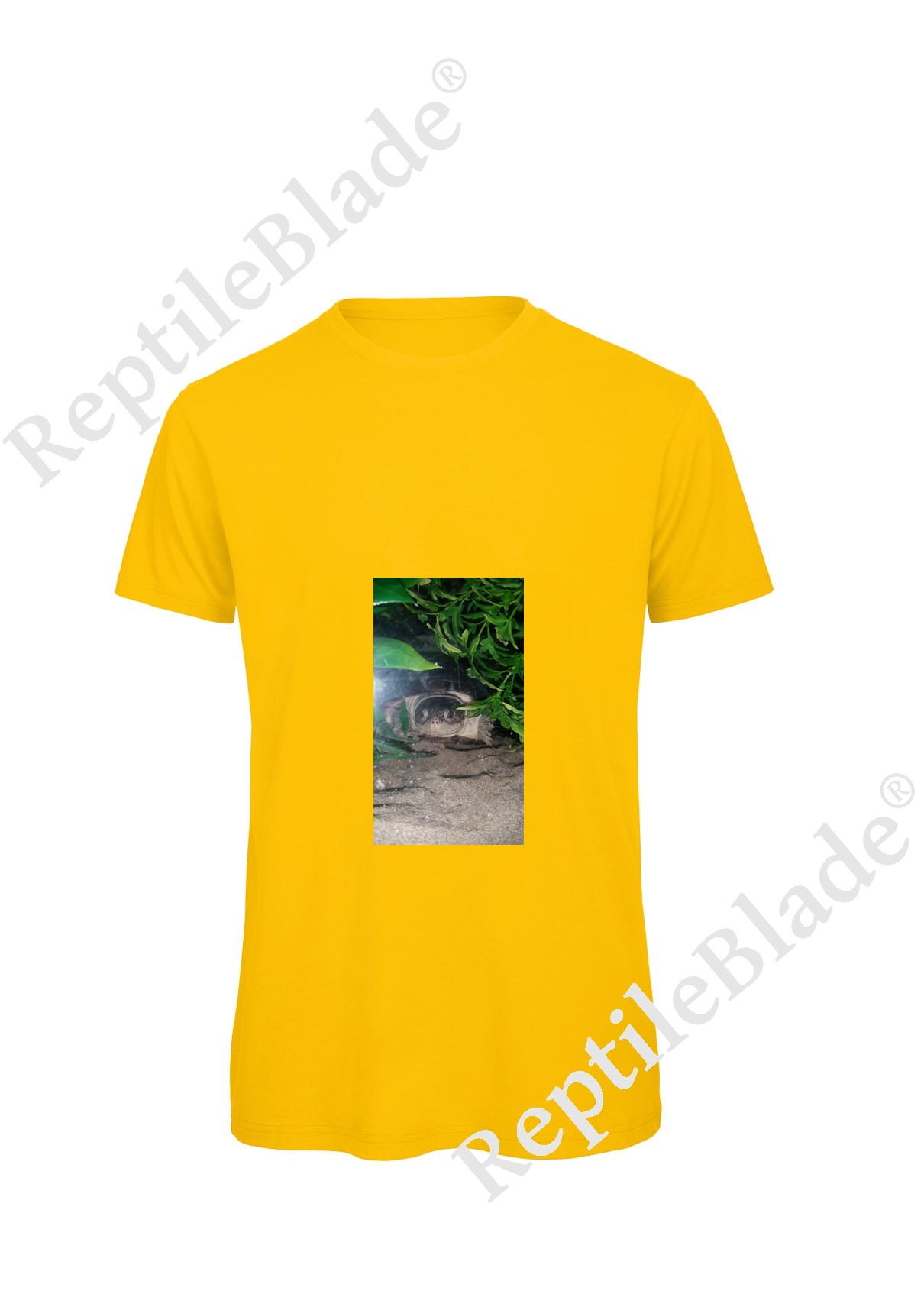 Miniature T-shirt homme "Lilo tortues"