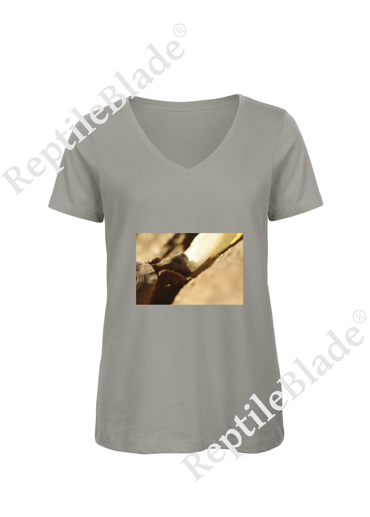 T-shirt femme col v "Lilo tortues"