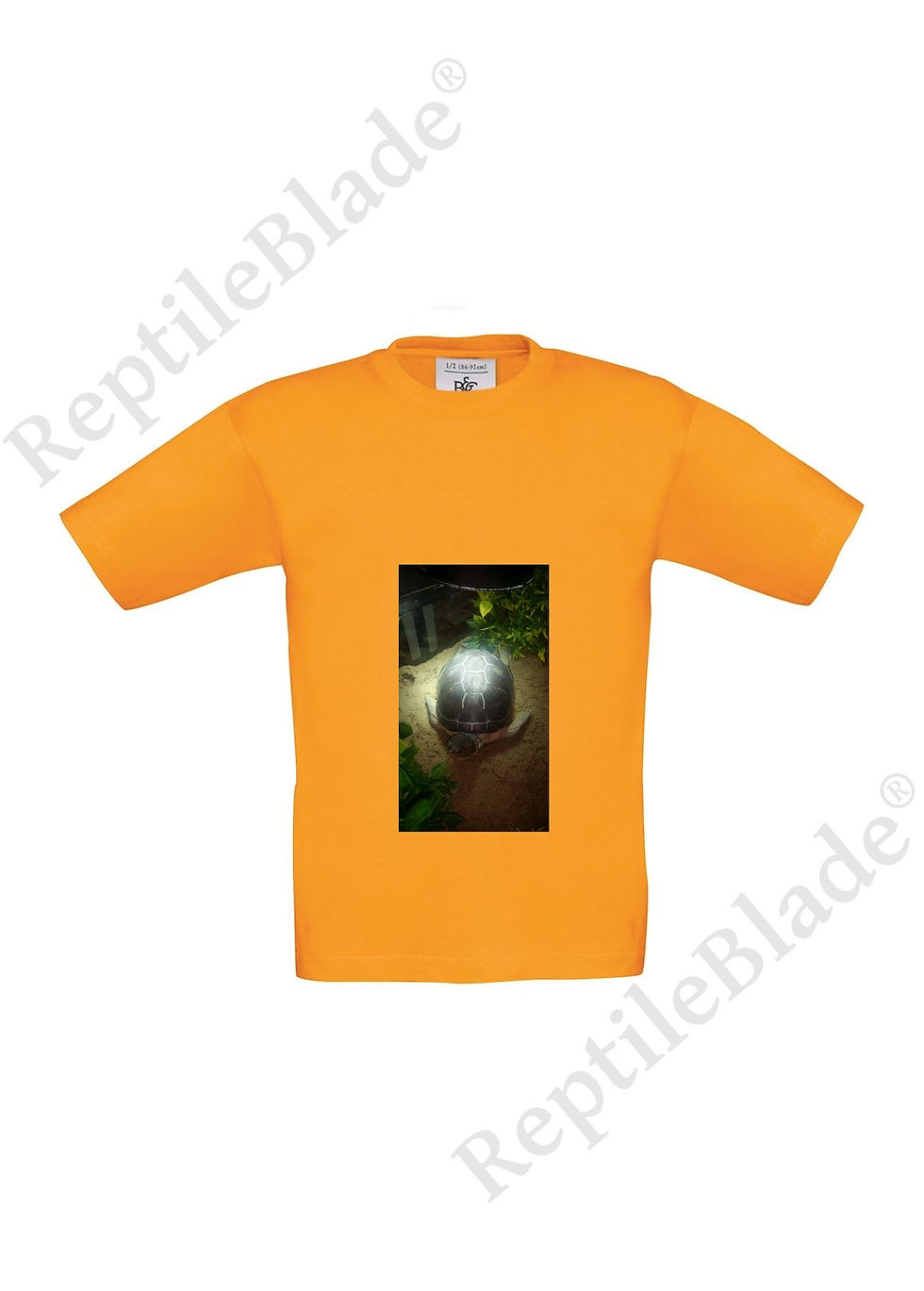 Miniatura: T-shirt enfant "Lilo tortues"