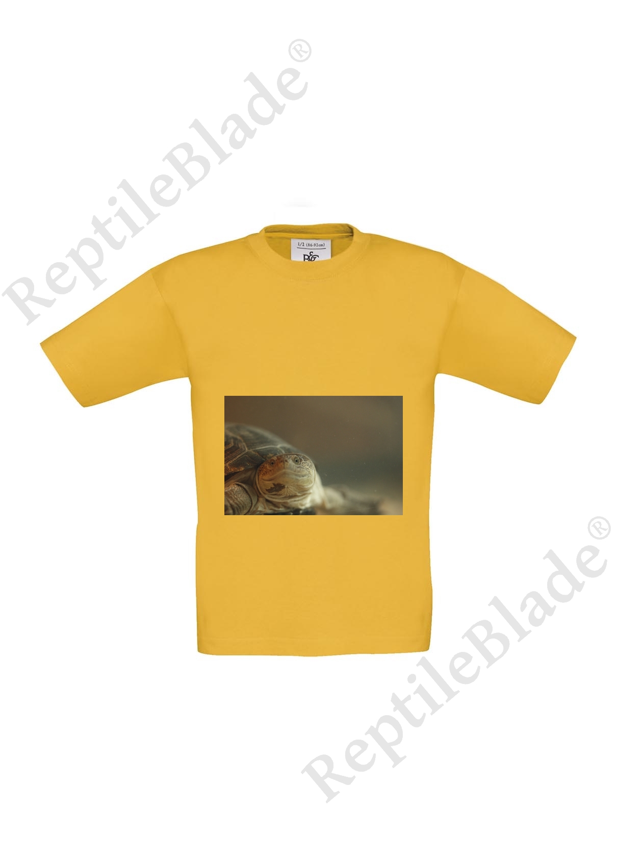 Miniature T-shirt enfant "Lilo tortues"