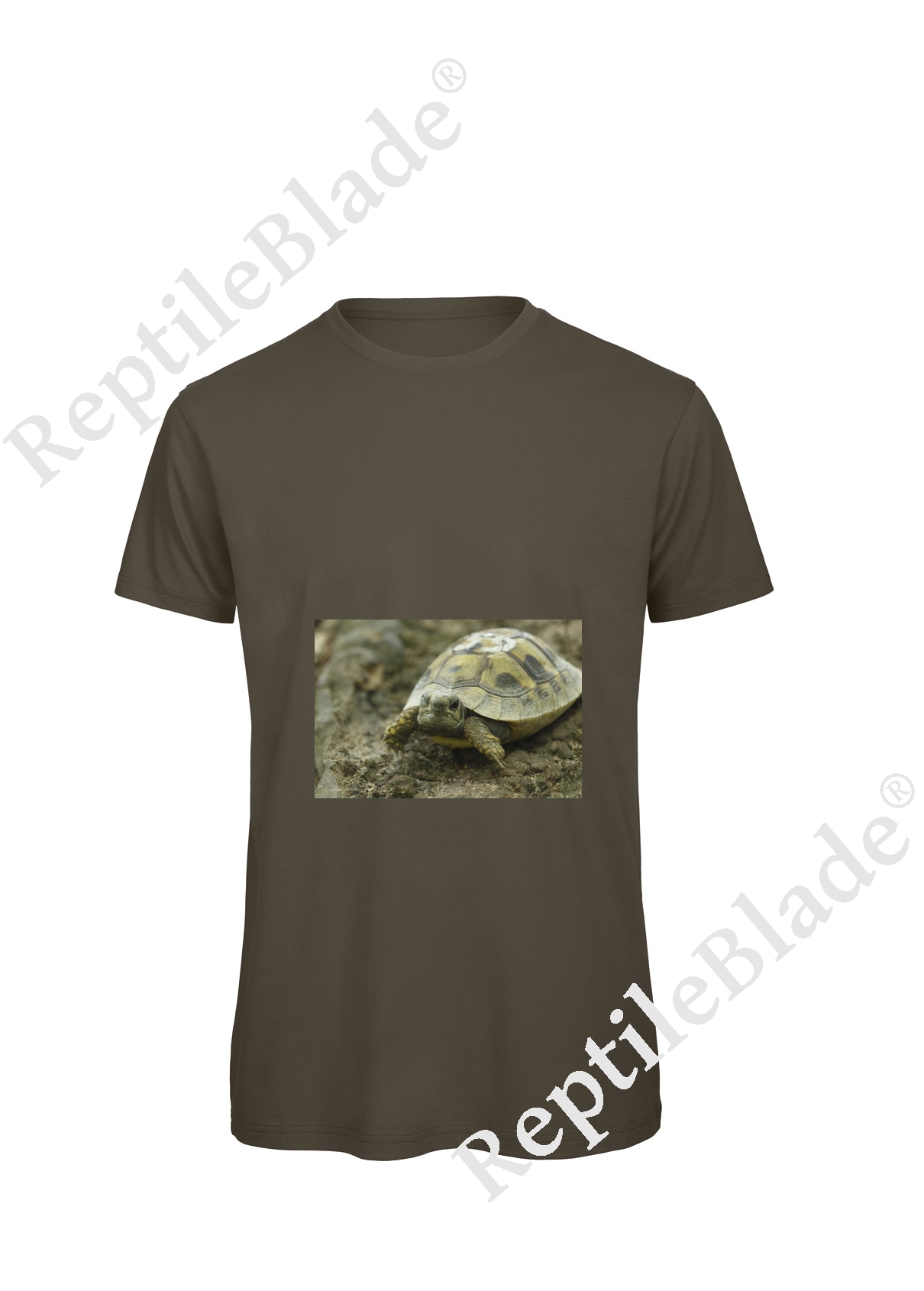 Miniature T-shirt homme "Lilo tortues"