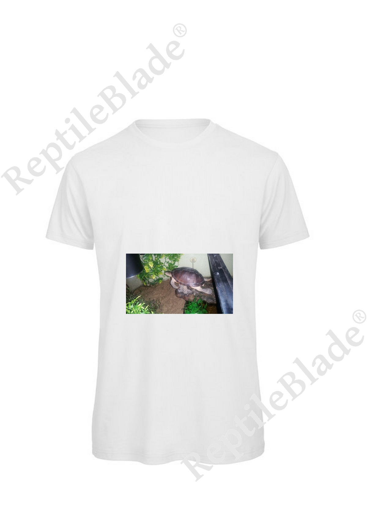 Miniature T-shirt homme "Lilo tortues"