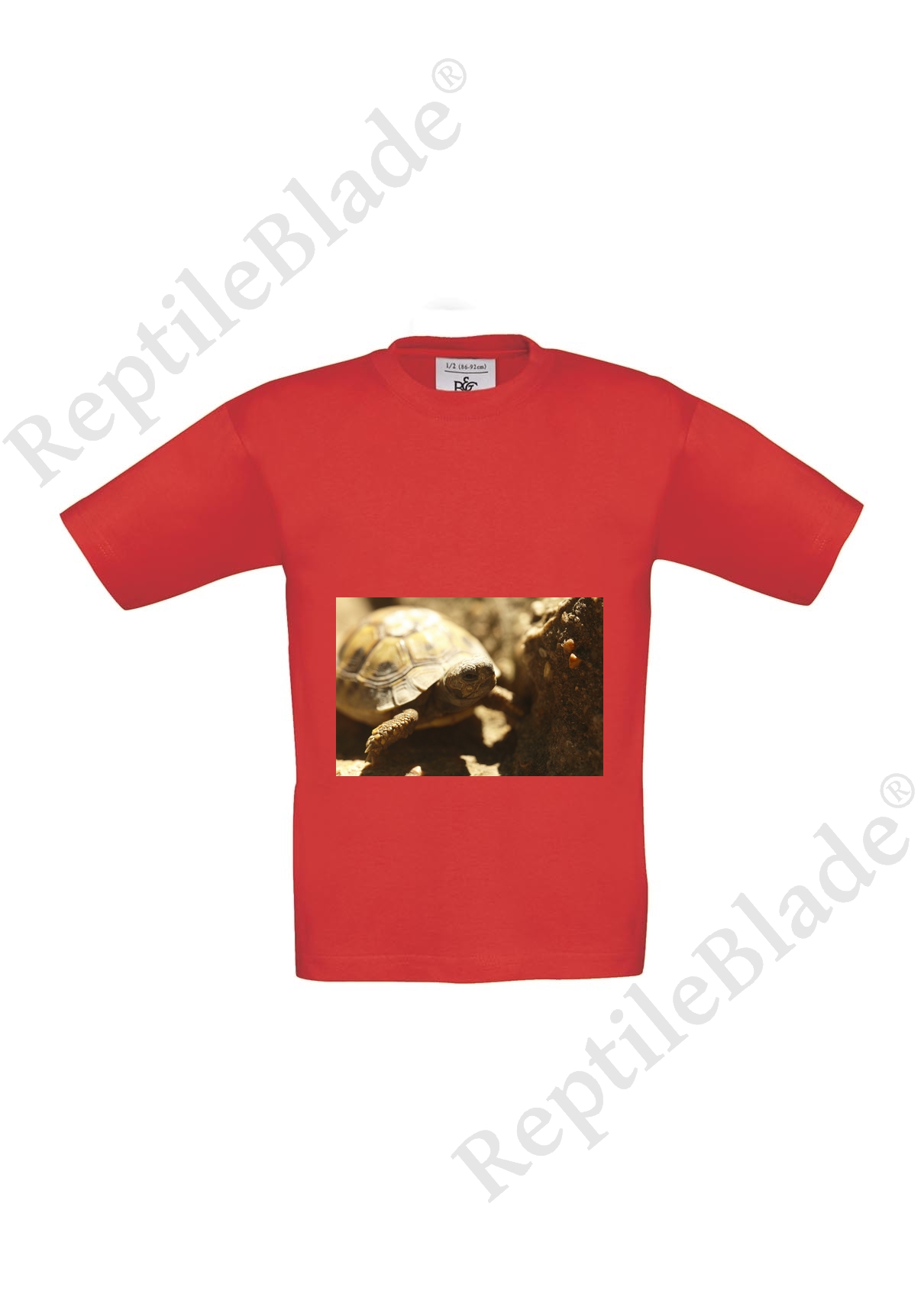 Miniature T-shirt enfant "Lilo tortues"
