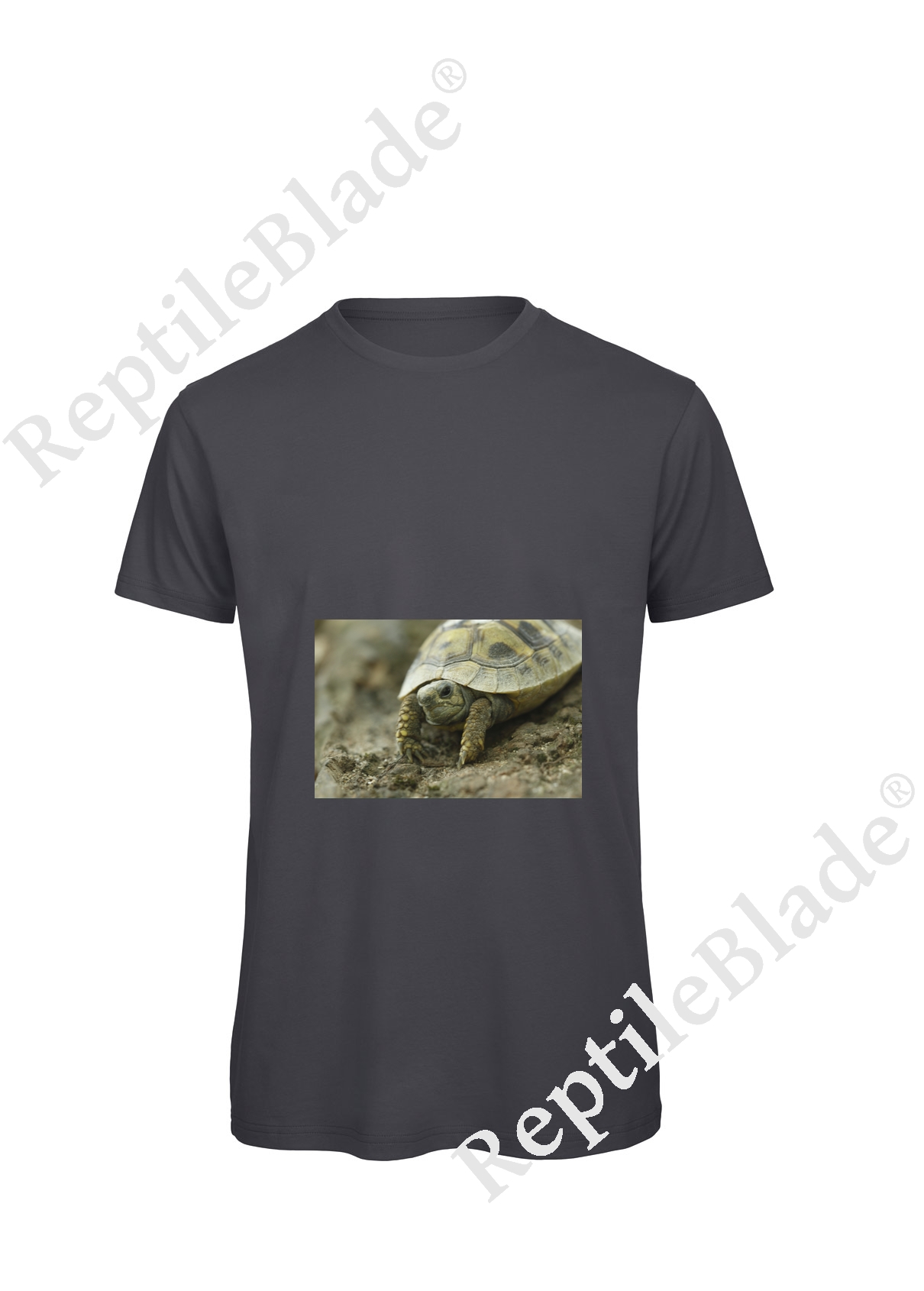 Miniature T-shirt homme "Lilo Tortues"