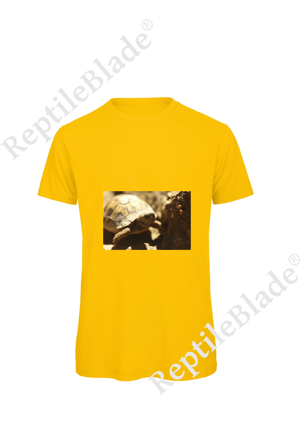 Miniature T-shirt homme "Lilo Tortues"