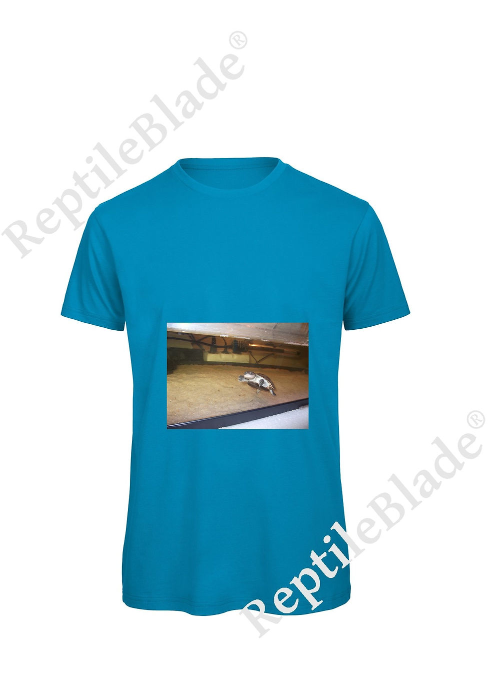 الصورة المصغرة: T-shirt homme "Lilo tortues"