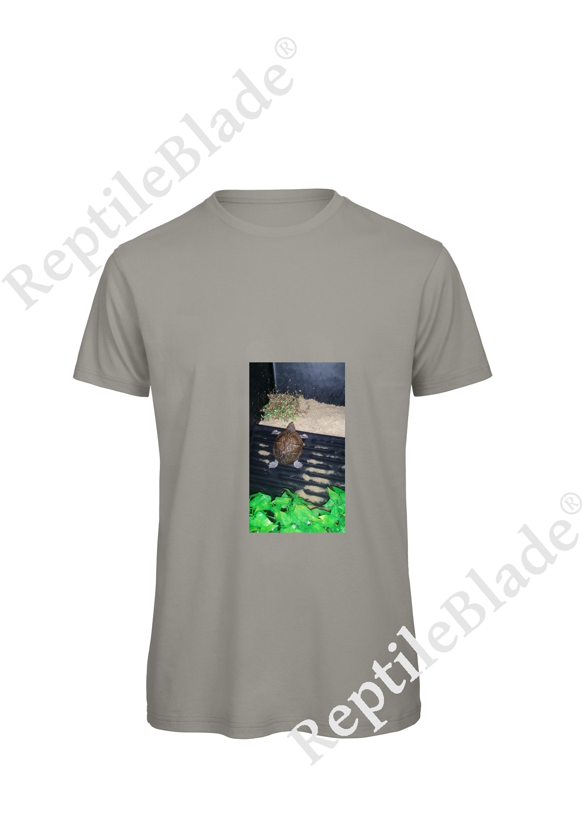 Miniature T-shirt homme "Lilo tortues"