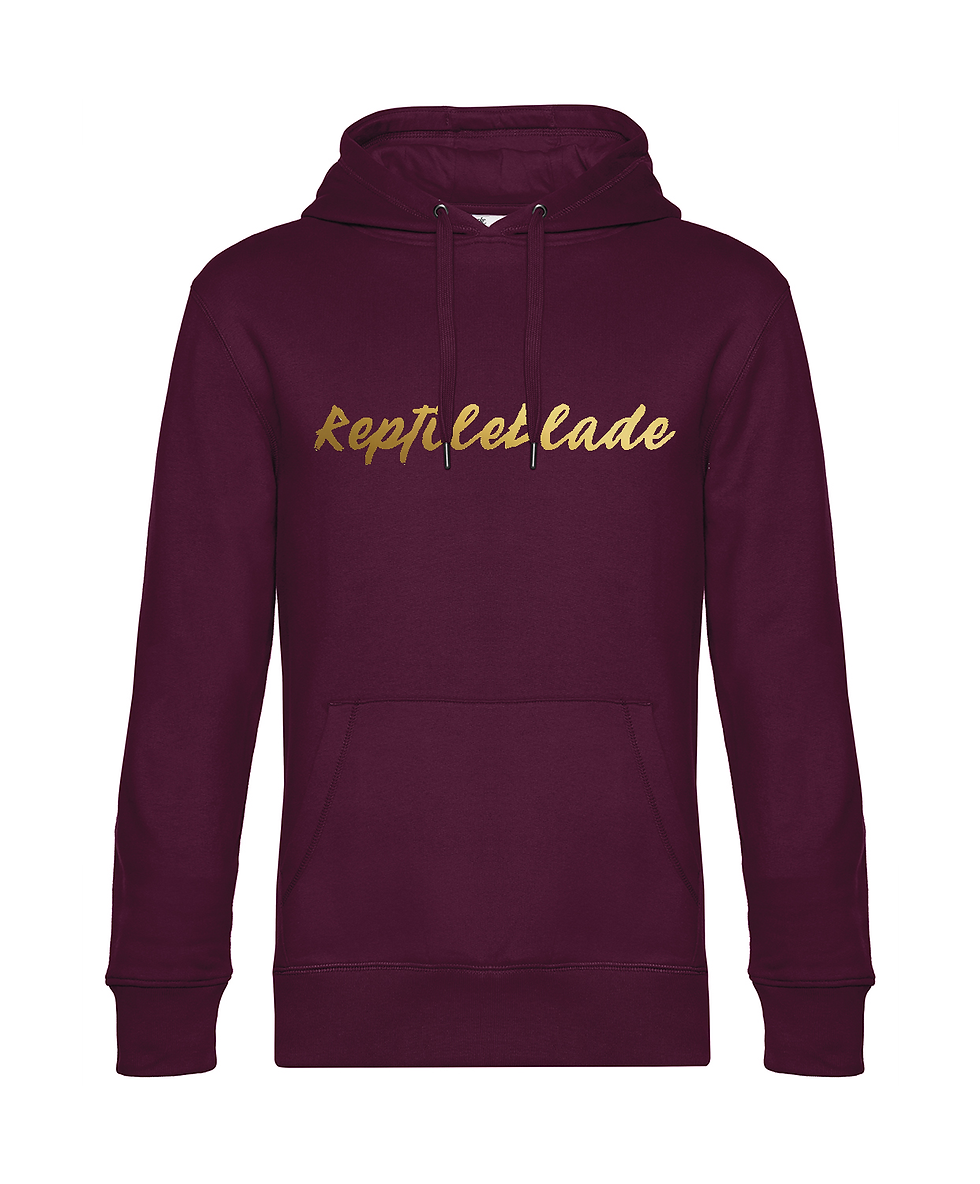 Miniature : Sweat-shirt à capuche homme "ReptileBlade"