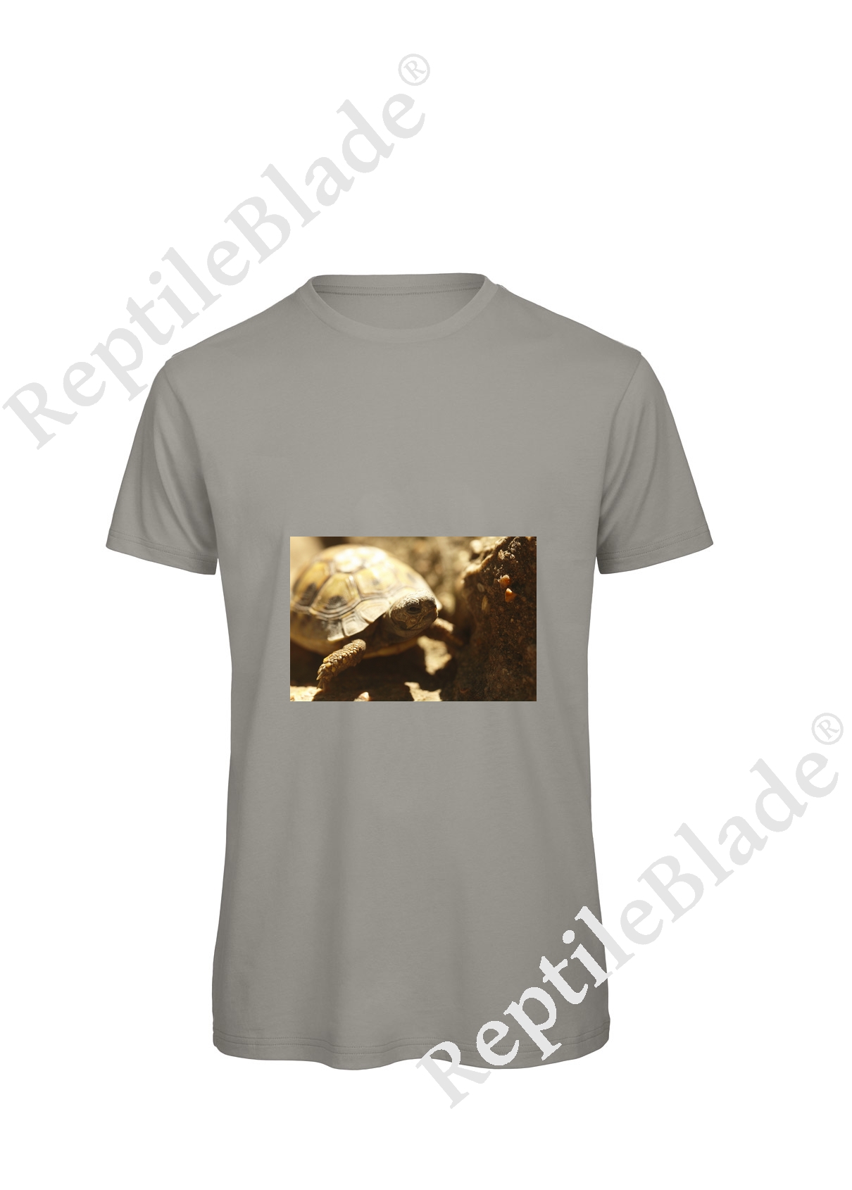 Miniature T-shirt homme "Lilo Tortues"