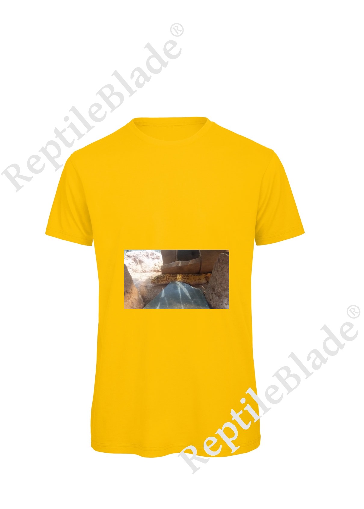 Miniature T-shirt homme "Lilo tortues"