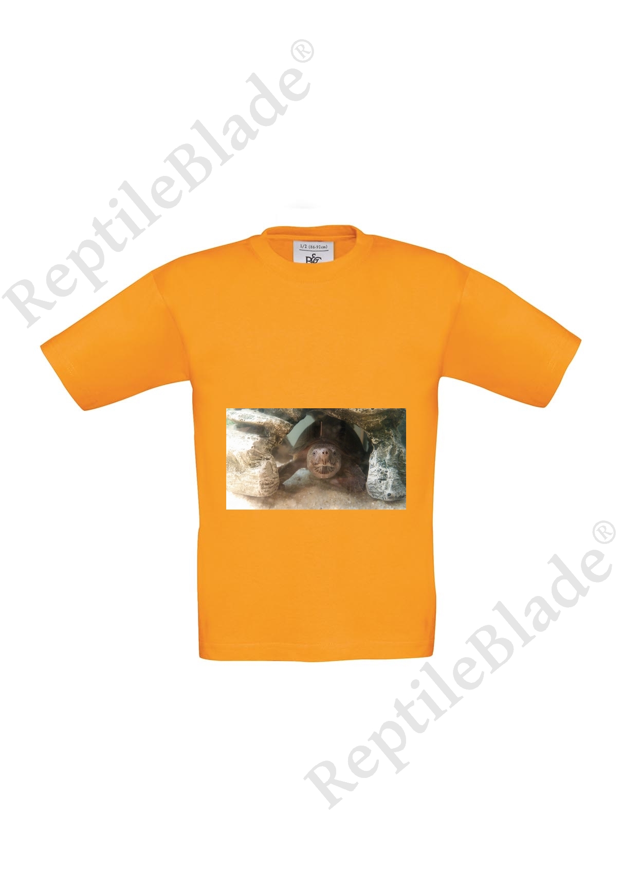 Miniature T-shirt enfant "Lilo tortues"