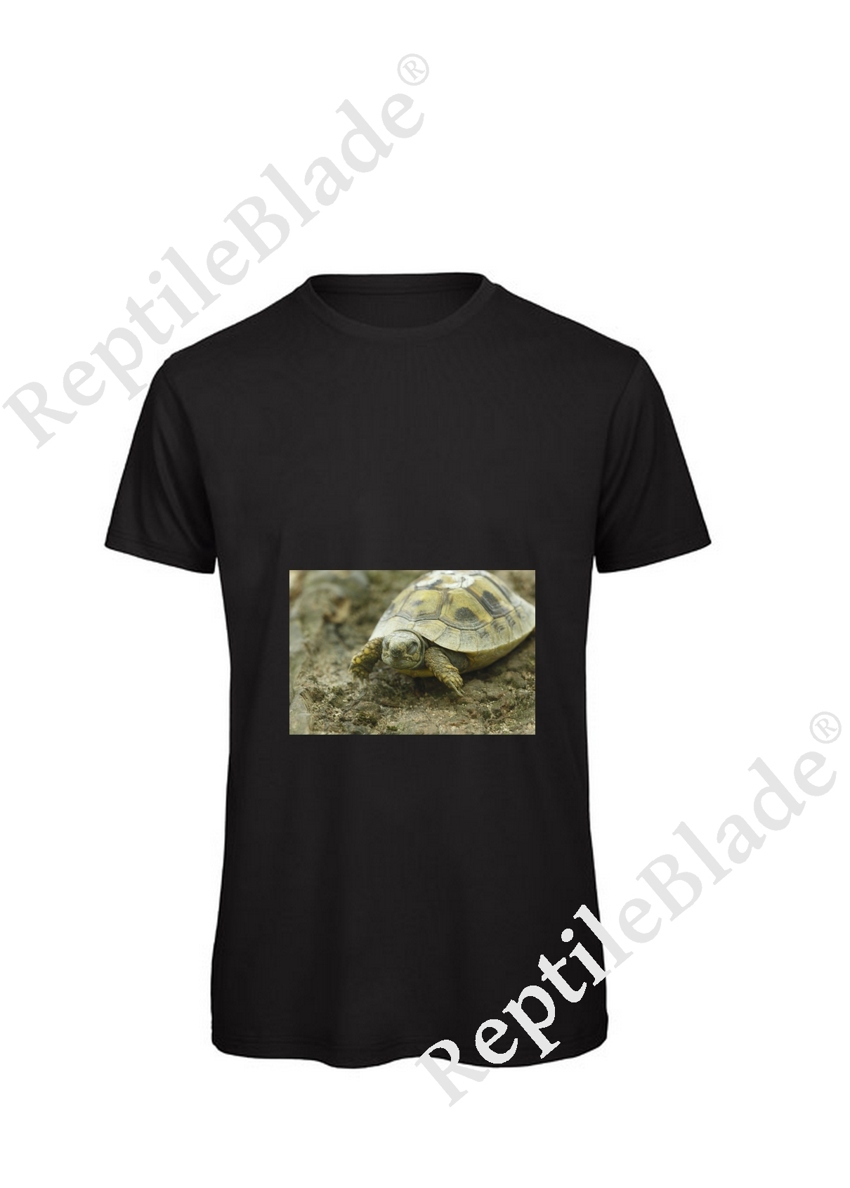 Miniature T-shirt homme "Lilo Tortues"