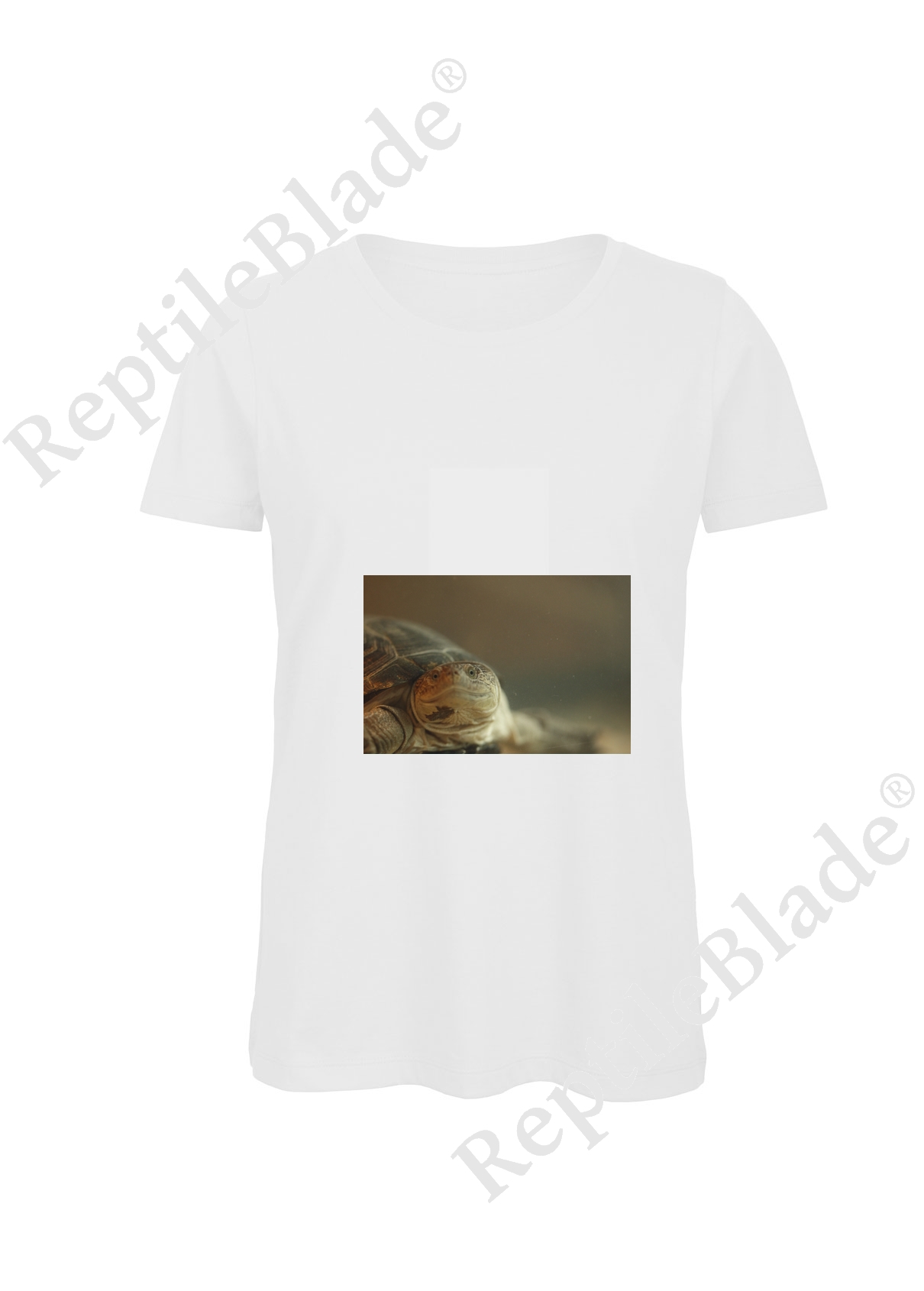Miniature T-shirt femme "Lilo tortues"