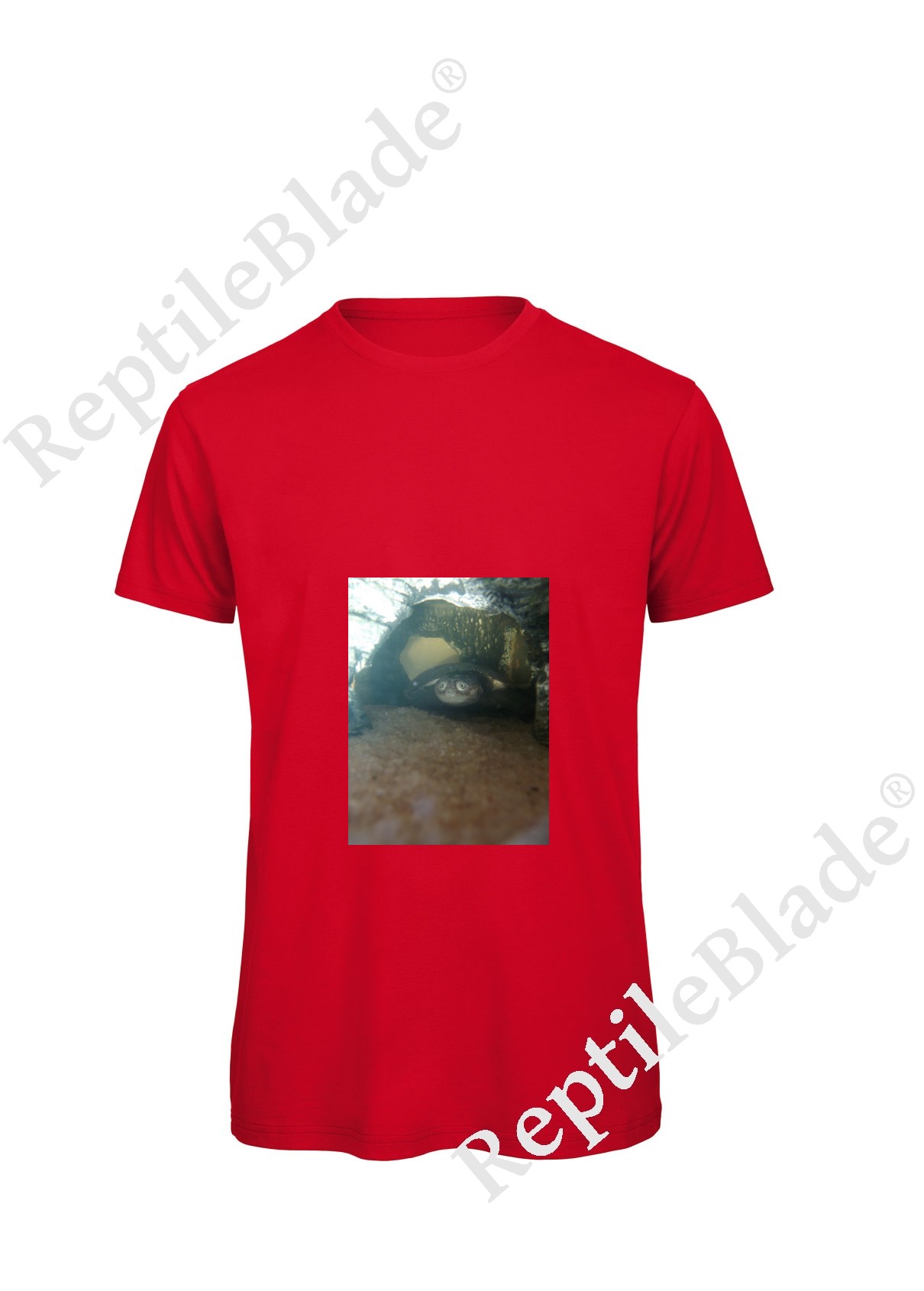 Miniature T-shirt homme "Lilo tortues"