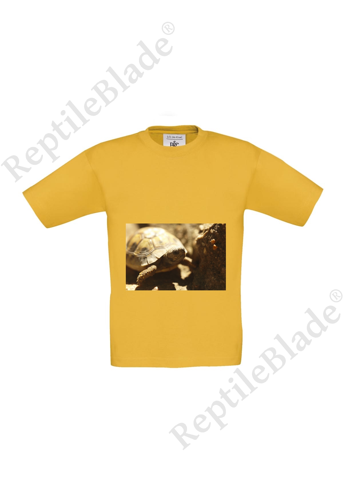 Miniature T-shirt enfant "Lilo tortues"