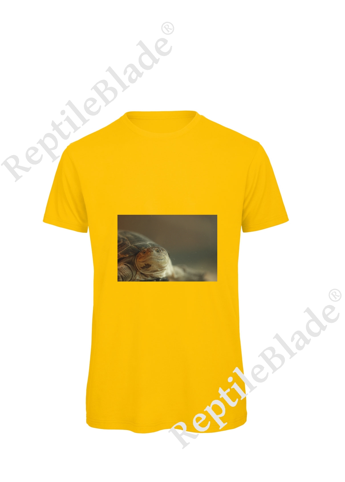 Miniature T-shirt homme "Lilo Tortues"